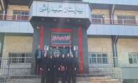 پایش منابع انسانی شبکه های بهداشت درمان تکاب و شاهین دژ